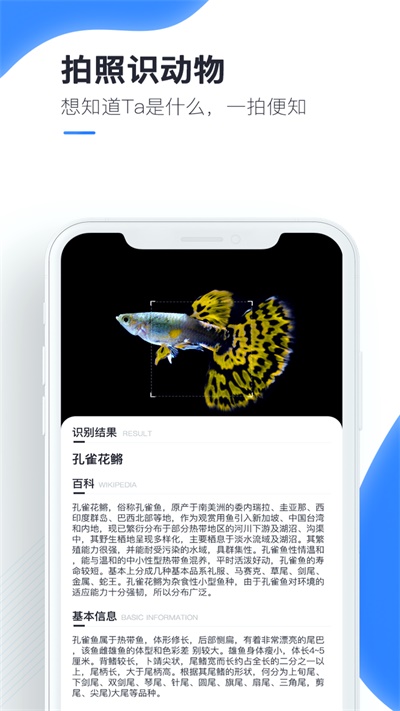 百科扫描王破解版免费下载安卓手机软件安装  v1.0.0图1