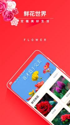 活力花  v1.0图1