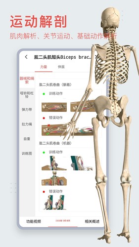 3Dbody艺用  v8.7.40图1