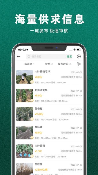 苗来苗往  v2.0.23图1