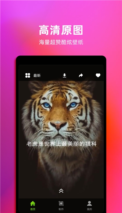 live动态壁纸  v3.0.0图2