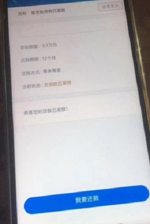 金蝶效贷手机版下载安装官网  v9.0.95图1