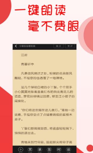 阅听小说平台官网