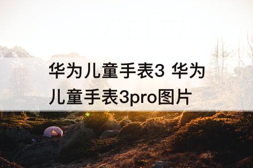 华为儿童手表3 华为儿童手表3pro图片