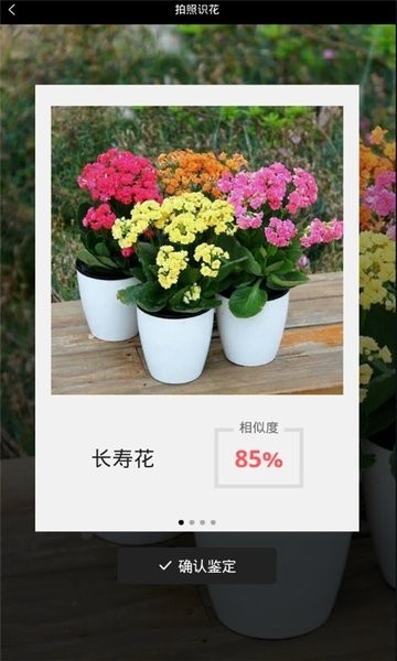 识花神器  v22.06.20图1