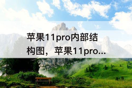 苹果11pro内部结构图，苹果11pro内部结构图高清