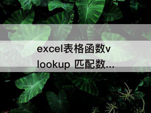 excel表格函数vlookup 匹配数据