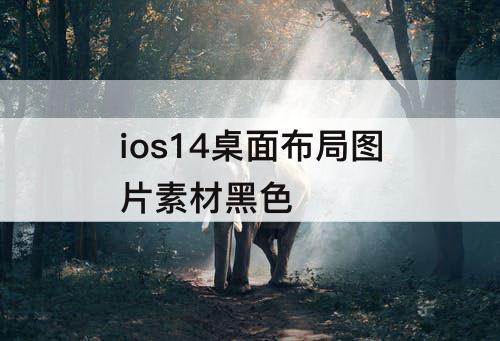 ios14桌面布局图片素材黑色