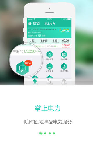 网上国网电网交费下载安装  v2.0.5图2