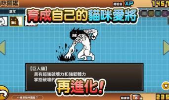 猫咪大战争Dog版灭绝族黑熊  v6.2.0图2