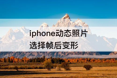 iphone动态照片选择帧后变形