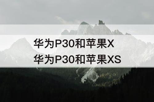 华为P30和苹果X 华为P30和苹果XS