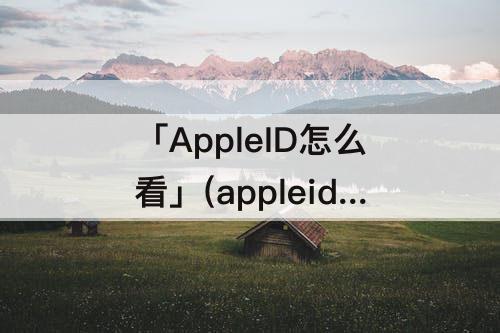 「AppleID怎么看」(appleid怎么看消费明细)