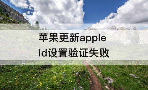 苹果更新apple id设置验证失败