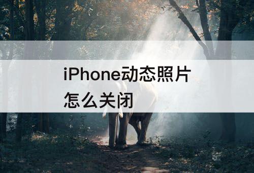 iPhone动态照片怎么关闭