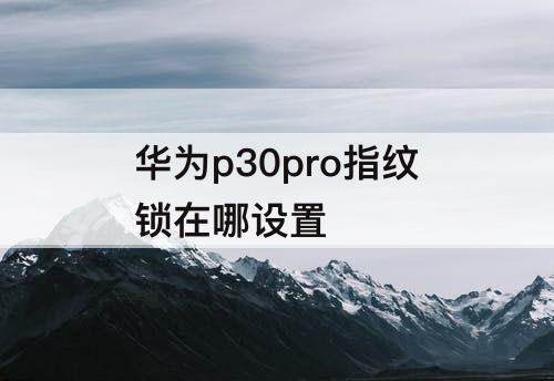 华为p30pro指纹锁在哪设置