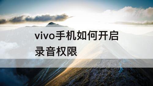 vivo手机如何开启录音权限