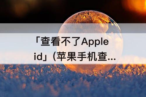 「查看不了Apple id」(苹果手机查看不了apple id里面的订阅一直转圈圈)