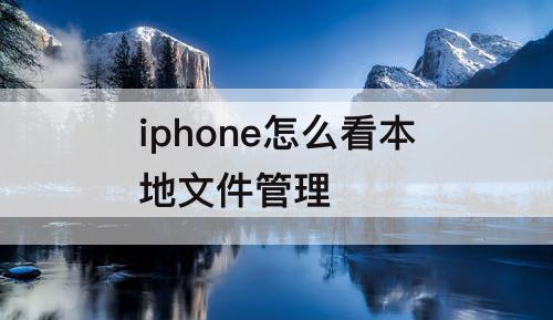 iphone怎么看本地文件管理