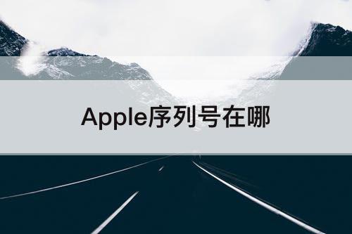 Apple序列号在哪