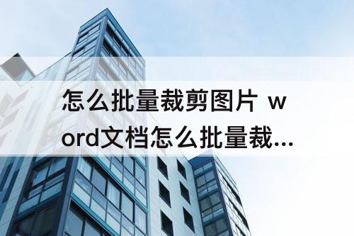 怎么批量裁剪图片 word文档怎么批量裁剪图片